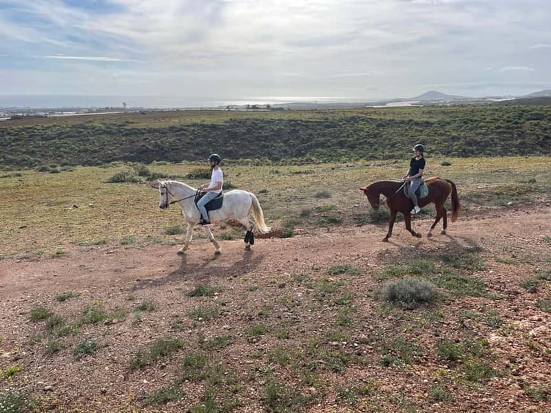 1 hour relaxing horse riding tour in Gran Canaria - Key things you’ll notice right away