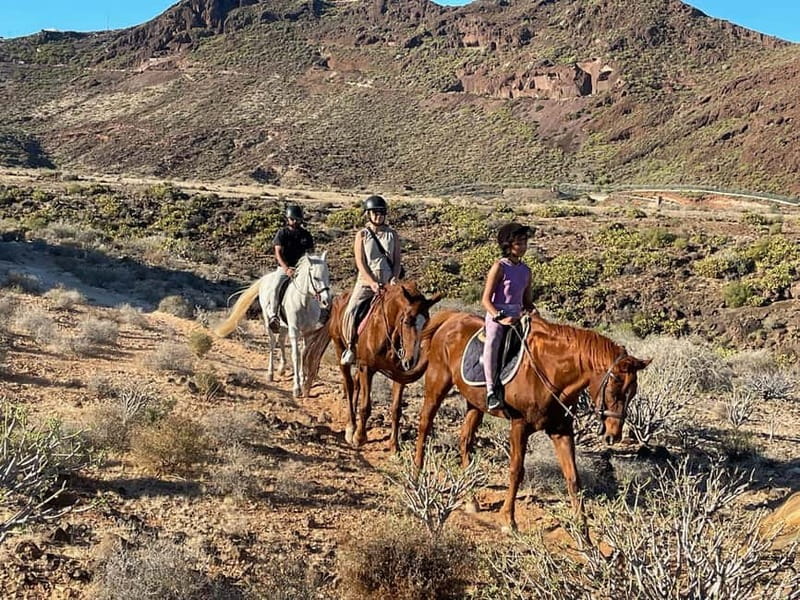 1 hour relaxing horse riding tour in Gran Canaria - Who this horse riding tour suits best in Gran Canaria