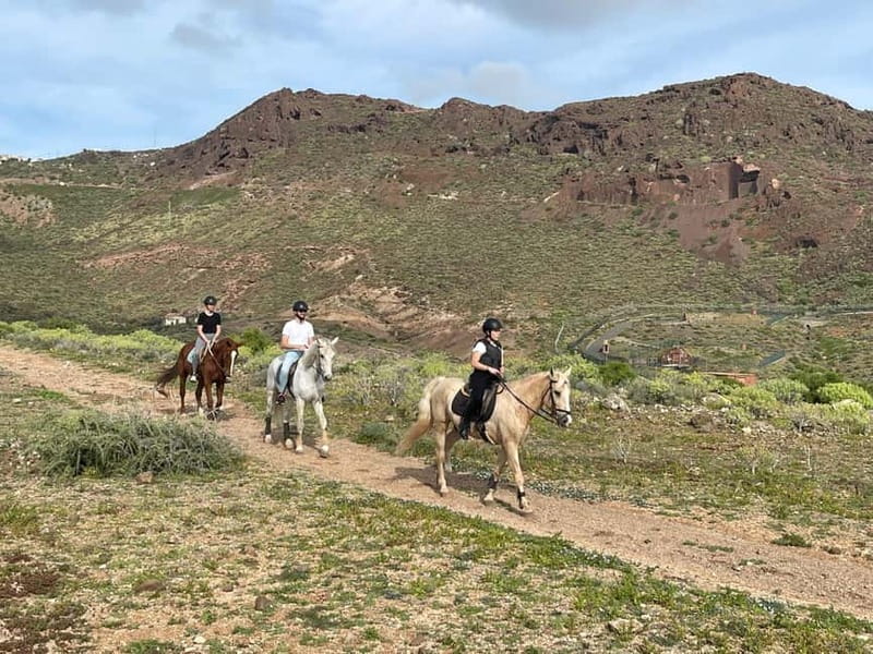 1 hour relaxing horse riding tour in Gran Canaria - Entering the riding center and getting your safety gear on
