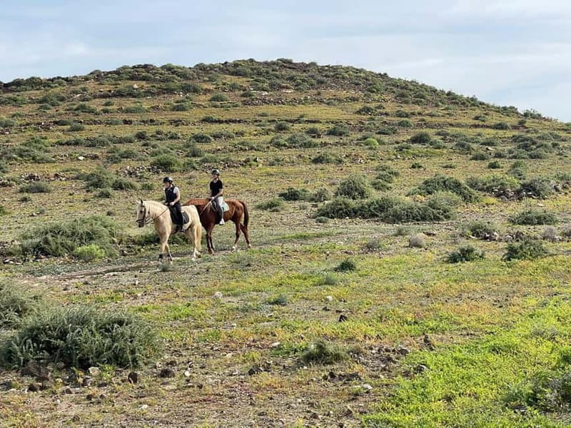 1 hour relaxing horse riding tour in Gran Canaria - The countryside ride: calm pacing with sea-and-mountain views