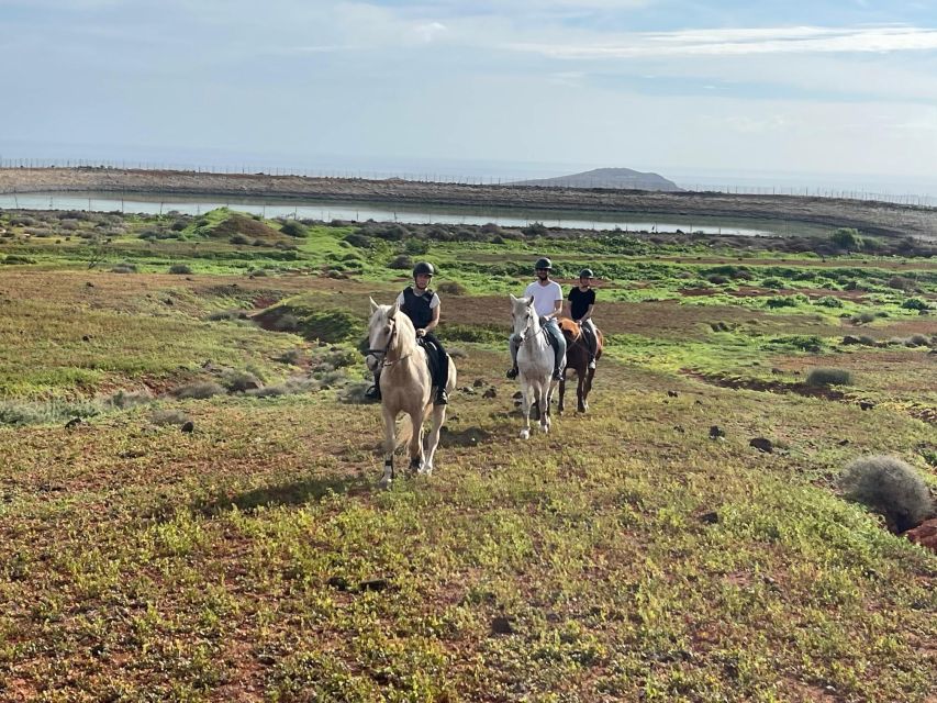 1 hour relaxing horse riding tour in Gran Canaria - What the route feels like in the real world (without the stress)