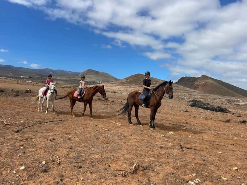 1 hour relaxing horse riding tour in Gran Canaria - Returning to the stables: how the tour wraps up