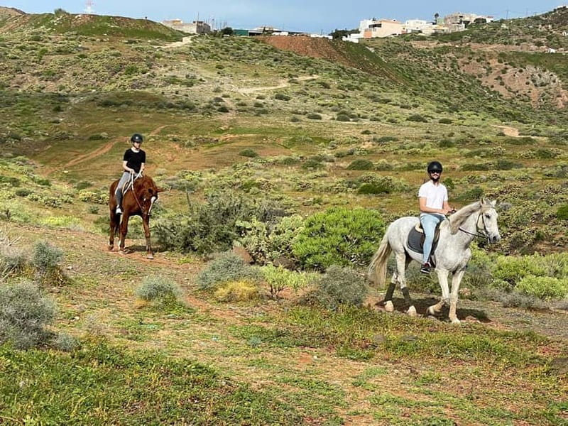 1 hour relaxing horse riding tour in Gran Canaria - Meeting points and timing: plan around the 1.5-hour block