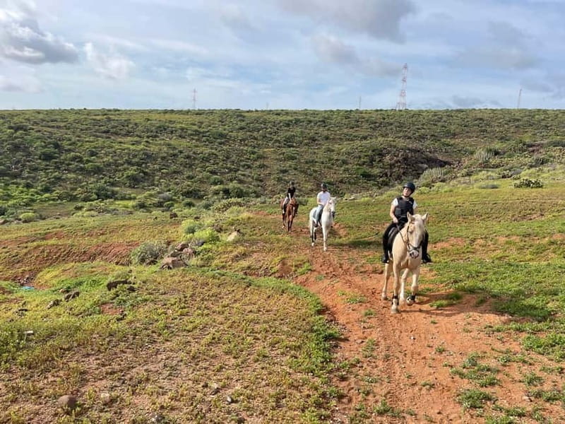 1 hour relaxing horse riding tour in Gran Canaria - The brief instruction: walk skills before you head out