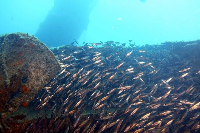 2 Dive Package for PADI Qualified Divers in Gran Canaria - Getting to Blue Water Diving at 8:30 in Gran Canaria
