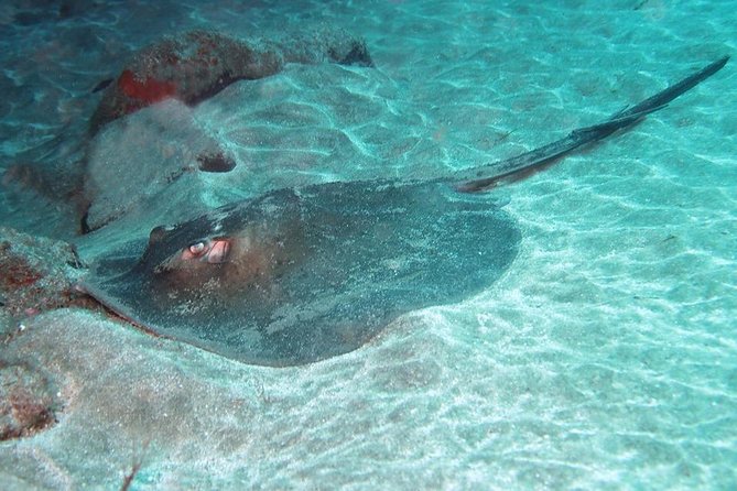 2 Dive Package for Qualified Divers in Gran Canaria - Key Things to Know Before You Go