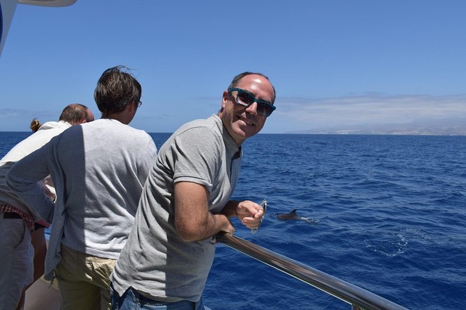 2-Hour Dolphin and Whale Watching in Gran Canaria - Setting Sail in Puerto Rico: Where You Meet and How the Trip Flows