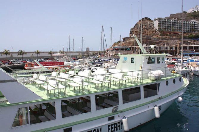 2-Hour Dolphin and Whale Watching in Gran Canaria - The Onboard Guide Moment: How Explanations Improve Your Spotting