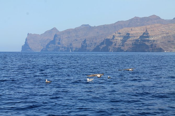 3h Boat Trip + Snorkeling in Puerto de Mogan - Family-friendly details that actually help