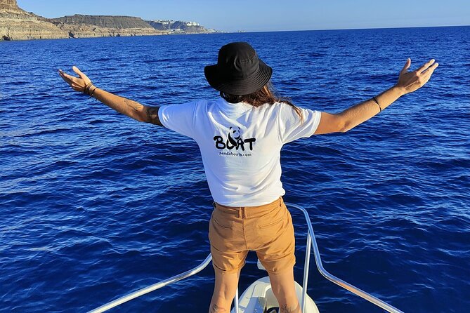 4 Hour Boat Tour with Snorkeling from Puerto Rico and Mogan - Lunch and drinks: what’s included, and why it changes the day