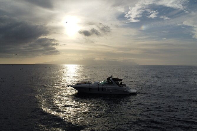 4 Hour Boat Tour with Snorkeling from Puerto Rico and Mogan - The boat experience: comfortable, friendly, and small enough to feel cared for