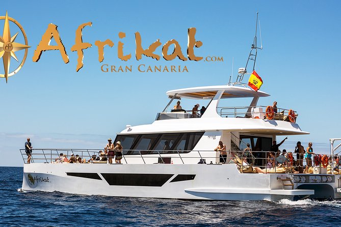 Afrikat Afternoon Cruise - Onboard meal and drinks: included comfort, with a quality reality check
