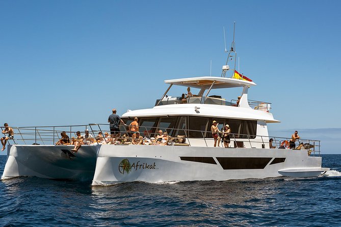 Afrikat Afternoon Cruise - Price and value check for $93.16 per person