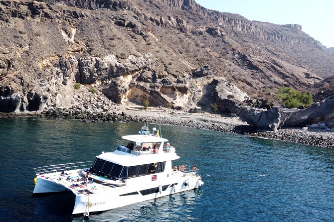 Afrikat Morning Cruise - When the Afrikat Cruise Runs: Morning Hours in Summer vs Winter