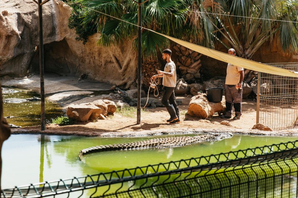 Agüimes: Cocodrilo Park Zoo Entry Ticket - Key highlights I think you’ll care about