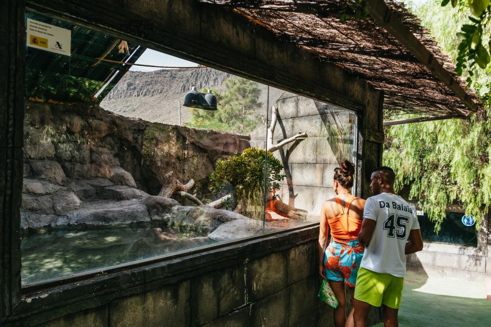 Agüimes: Cocodrilo Park Zoo Entry Ticket - Should you book the Agüimes Cocodrilo Park ticket?