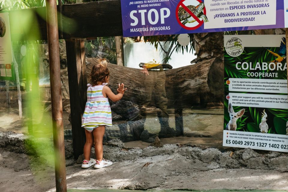 Agüimes: Cocodrilo Park Zoo Entry Ticket - How long you should stay: a couple of hours, or longer with shows