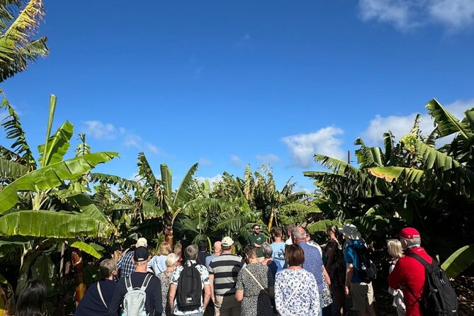 Banana Museum, Rum Distillery & Winery with Tasting: Premium tour - Pickup details and the start time: don’t miss Parque Tropical