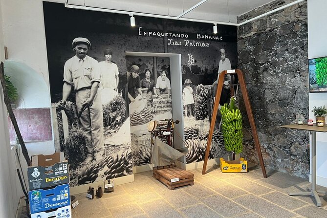 Banana Museum, Rum Distillery & Winery with Tasting: Premium tour - Who should book this tour, and who should reconsider