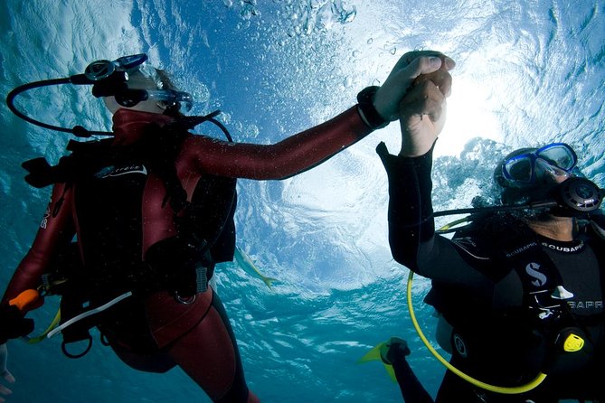 Beginners Scuba Diving Experience in Gran Canaria - Entering The Session: Where You Check In and What Starts the Day Right