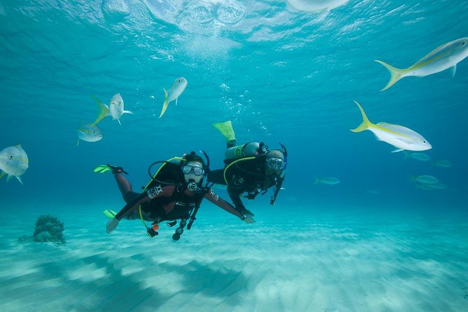 Beginners Scuba Diving Experience in Gran Canaria - Shallow Water Skills: Breathing Under Pressure Without the Chaos