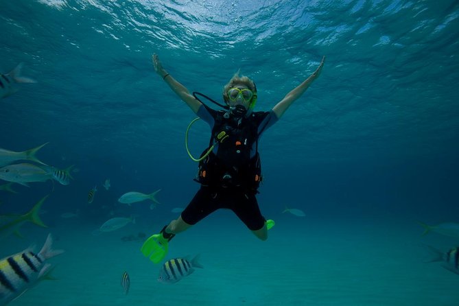 Beginners Scuba Diving Experience in Gran Canaria - The Reef Swim: What Happens After You’re Comfortable