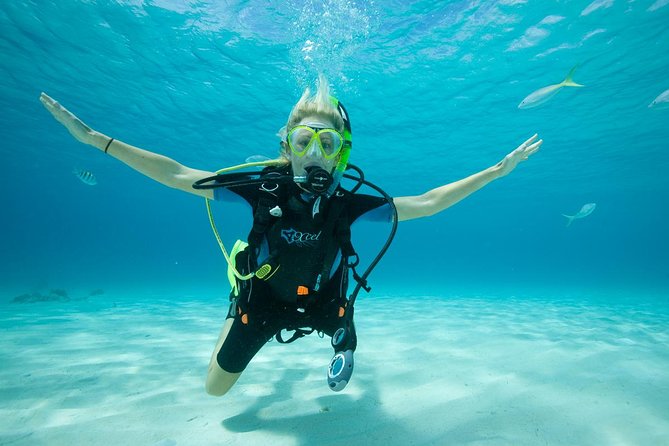 Beginners Scuba Diving Experience in Gran Canaria - The Paperwork and Gear Fit: The Part That Determines Comfort