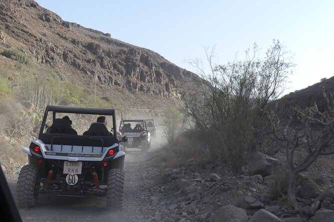 Buggy Tour Gran Canaria - Drive Changes and Group Dynamics: Comfort for Couples and Friends