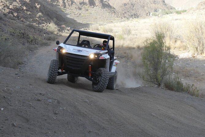Buggy Tour Gran Canaria - Down to the Reservoir: Bamboo, Palms, and Prickly Pears