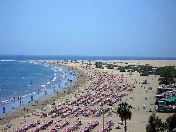 Camel Riding in Maspalomas Dunes - Key Things to Know Before You Go