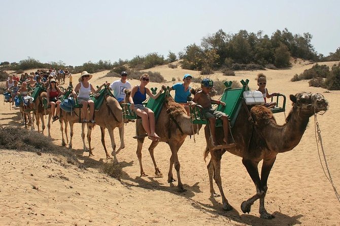 Camel Riding in Maspalomas Dunes - Maspalomas Dunes Camel Ride: What You’re Actually Buying