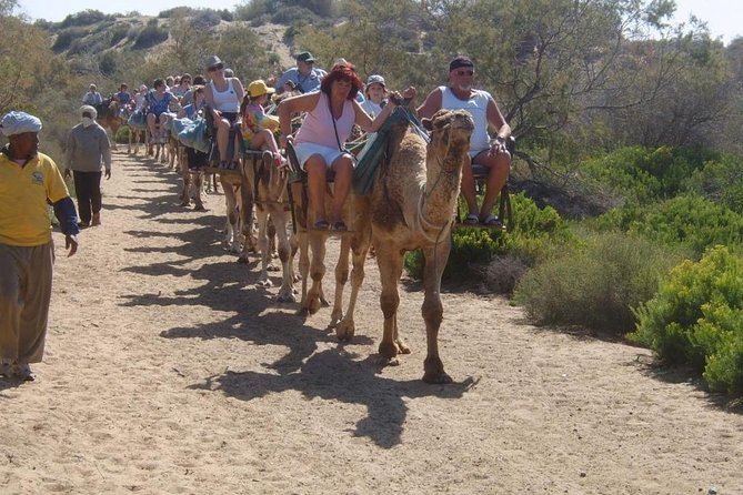 Camel Riding in Maspalomas Dunes - Timing and Waiting: The Biggest Variable