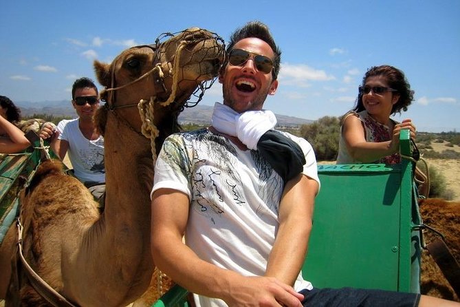 Camel riding in the dunes of Maspalomas - Key things you should know before you go