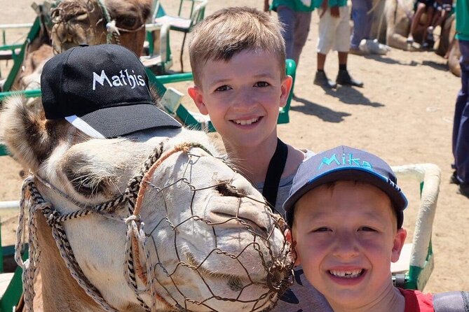 Camel Safari through the Dunes of Maspalomas - Who this is best for (and who might not love it)