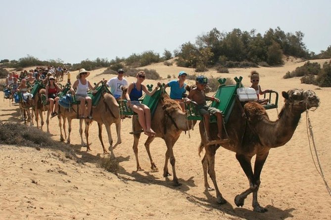 Camel Safari through the Dunes of Maspalomas - Timing and logistics: how to avoid the queue trap