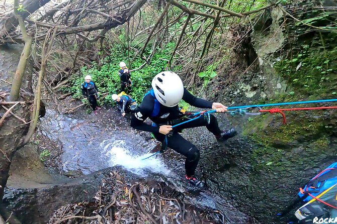 Canyoning in Gran Canaria: The Hidden Waterfalls and Magic Pools - Gran Canaria’s rainforest canyon: Barranco de los Cernicalos