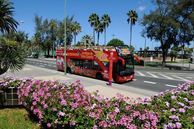 City Sightseeing Las Palmas de Gran Canaria Hop-On Hop-Off Bus Tour - Las Palmas by double-decker: the point of this hop-on hop-off