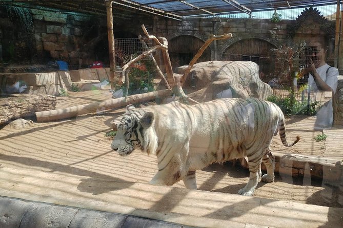 Cocodrilo Park Zoo Admission Ticket in Agüimes - Animals and conditions: how to think about shade, heat, and enclosure space