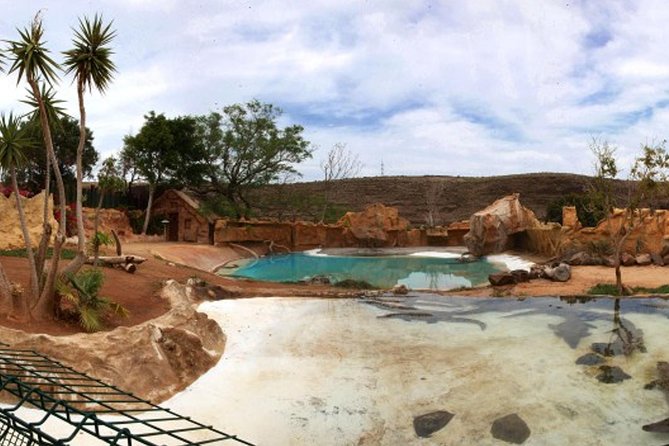 Cocodrilo Park Zoo Admission Ticket in Agüimes - Staff, learning, and the rescue mission angle
