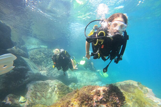 Discover Scuba Dive in Gran Canaria - Price and what’s included for $102.58 per person
