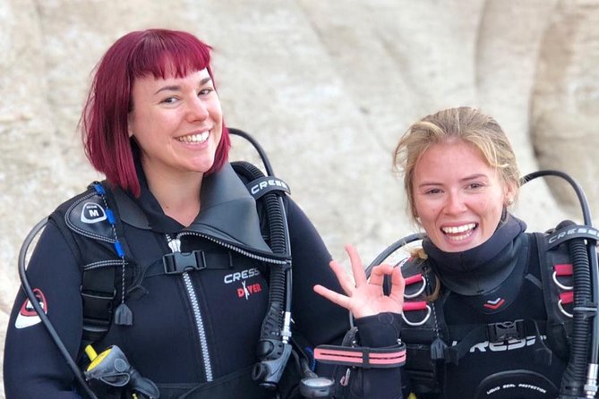 Discover Scuba diving in Gran Canaria with Hotel Pick-up - The marine life angle: angel sharks and what you’ll learn