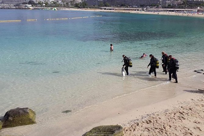 Discover Scuba diving in Gran Canaria with Hotel Pick-up - Photos and videos: plan ahead if you want them