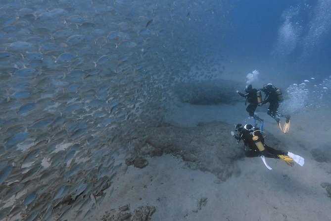Discover Scuba Diving in Puerto de Mogan - Instructors like Alex and Ronnie: comfort beats confidence