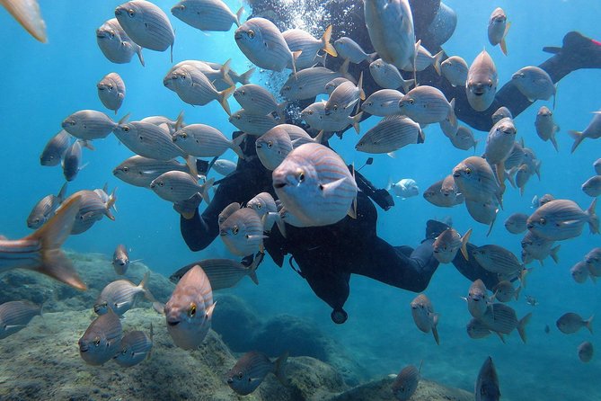 Discover Scuba Diving in Puerto de Mogan - The step-by-step flow: theory, pool practice, then an open-water session