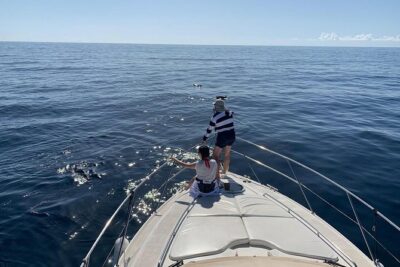 Dolphin Searching Tour in Puerto de Mogán ("KEEPER UNO" Boat) - 4 hours of dolphin searching: how the “search” part actually works