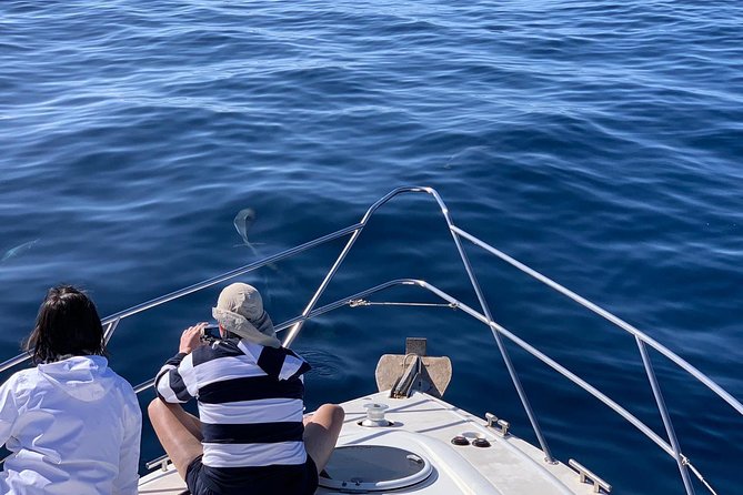 Dolphin Searching Tour in Puerto de Mogán ("KEEPER UNO" Boat) - Price and logistics: is $102.80 worth it?