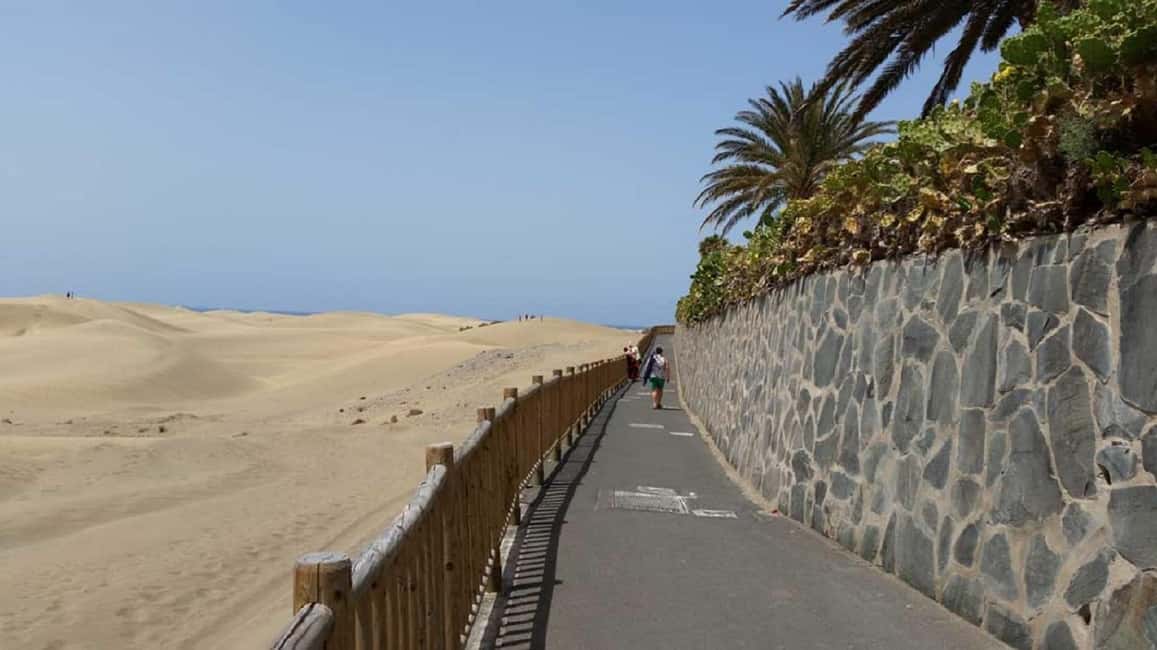 e-Scooter Step Kickstart Guided Tour: Sightseeing Maspalomas - Campo international Bike Lines: tropical trees and 500+ plant species
