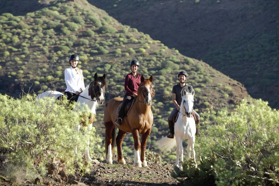 El Salobre: Horse Riding Adventure with Transfer Options - Key Highlights at El Salobre Horse Riding