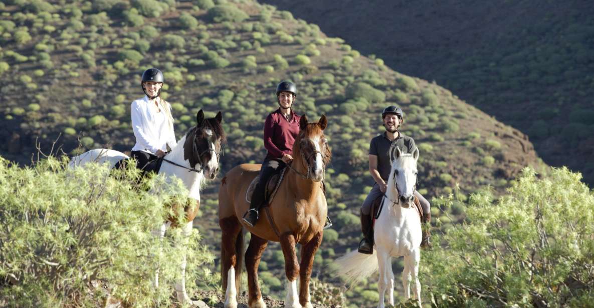 El Salobre: Horse Riding Adventure with Transfer Options - El Salobre Horse Riding: A Straightforward Way to See Gran Canaria