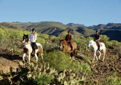 El Salobre: Horse Riding Adventure with Transfer Options - Meeting Up: Ranch Arrival, Quick Briefing, and Horse Matching